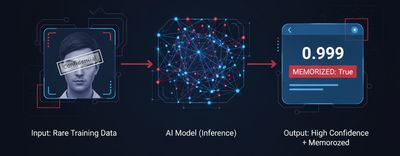 An illustration demonstrating a membership inference attack, where a model is shown a rare image and returns a 0.999 confidence score, with a "memorized" flag highlighted.