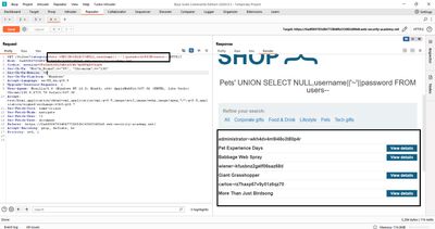 Injected request concatenating username and password and page showing username~password results.