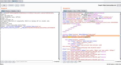 A screenshot from Burp Suite showing the intercepted HTTP request with the user-controlled parameter highlighted.