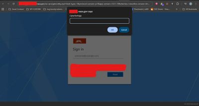A screenshot showing the successful execution of a reflected Cross-Site Scripting (XSS) payload on the target web application, displaying a browser alert box confirming the vulnerability.