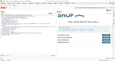 Request demonstrating UNION SELECT NULL,NULL probe to determine column count.