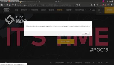 A screenshot of a web browser displaying an alert pop-up box with the message "XSS", confirming the successful execution of the JavaScript payload.