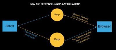 A technical diagram illustrating the HTTP request and response flow being intercepted and viewed through Burp Suite proxy between the client browser and the web server.