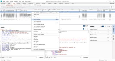 Captured GET request showing the /filter?category=Gifts parameter.
